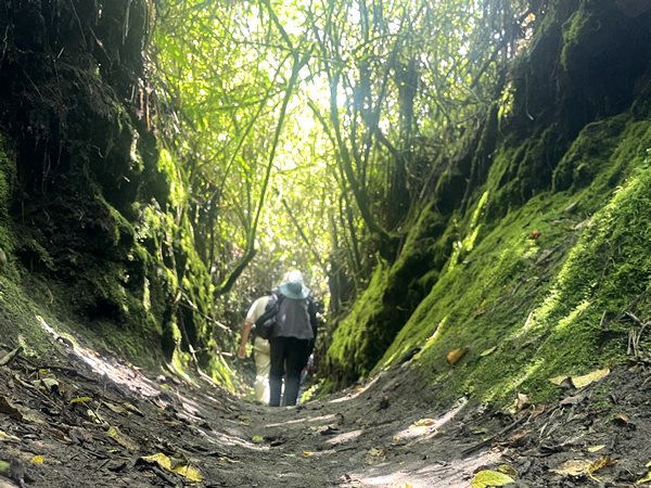 Mindo Ecuador, Ecuador