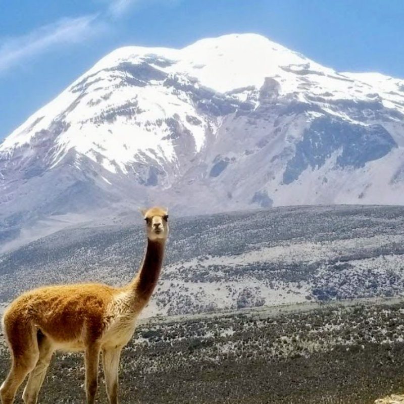Chimborazo Volcano visit