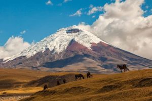 Tours in Quito and Ecuador, Cotopaxi volcano
